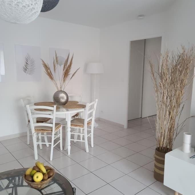 Appartement 63 M2, Tout Confort, Climatise. Saint-Cyprien  Ngoại thất bức ảnh